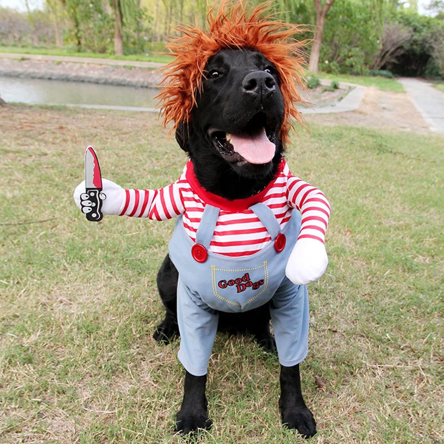 Funny Halloween Pet Costume, Dog and Cat Killer Costume Outfit, Cute Horror Pet Costume Clothes, Halloween Party Photo Props